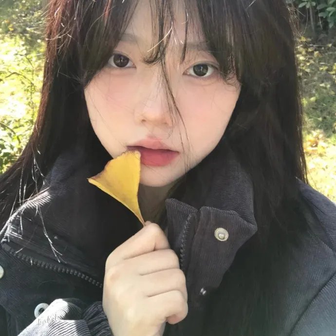 泼墨黄山